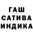 ГАШ гарик TeleNuvem