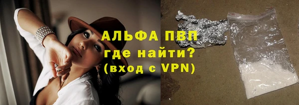 гашик Сосновка