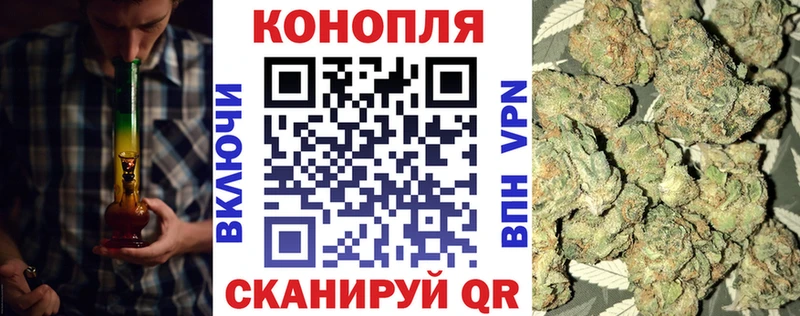 Конопля OG Kush  Заозёрный 